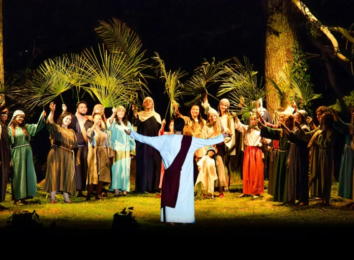 Imagen Entrada triunfal editado