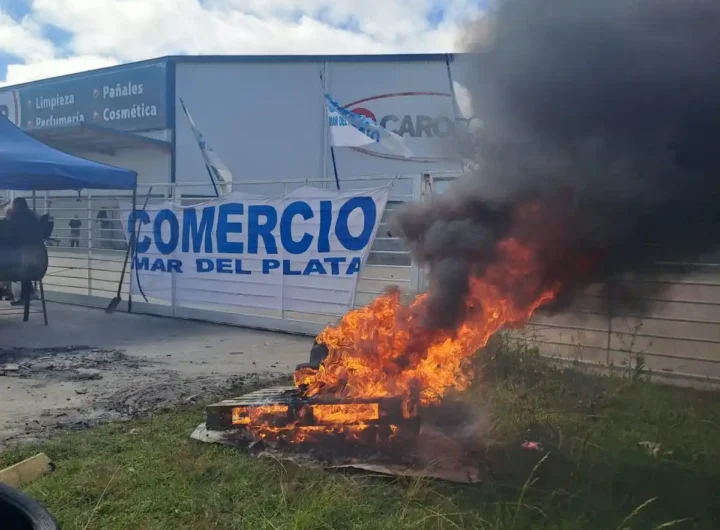 WhatsApp Image 2025 12 04 at 11.28.32 AM editado