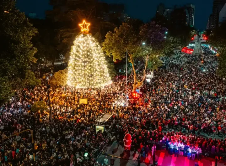 WhatsApp Image 2025 12 08 at 9.53.33 PM editado