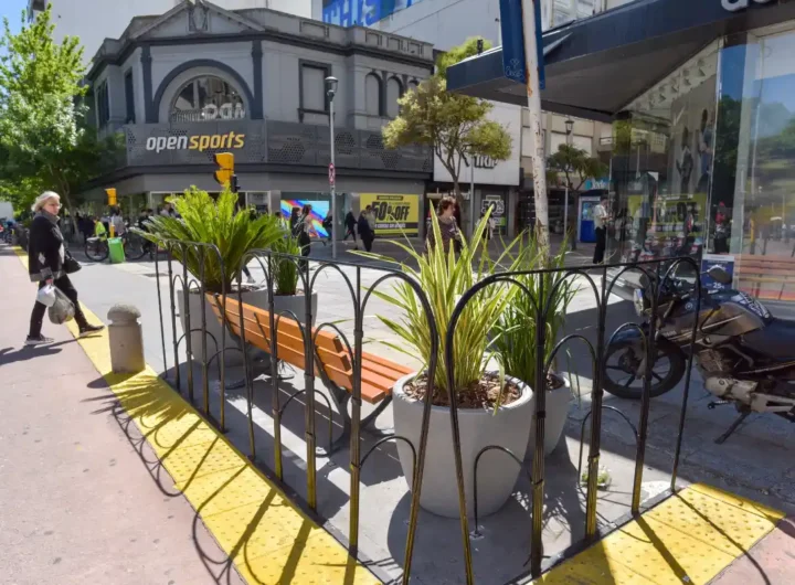 WhatsApp Image 2025 12 10 at 8.22.15 AM editado