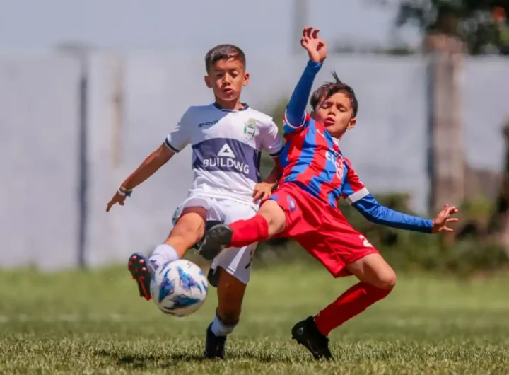 WhatsApp Image 2025 12 10 at 8.59.31 PM editado