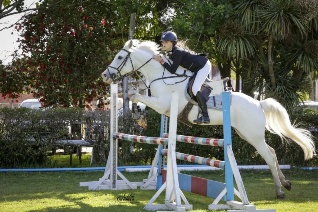 WhatsApp Image 2025 12 23 at 8.49.29 AM editado