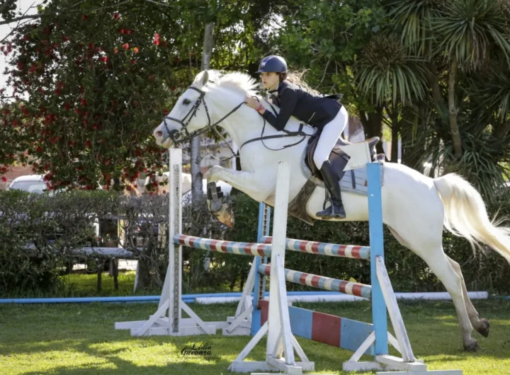 WhatsApp Image 2025 12 23 at 8.49.29 AM editado