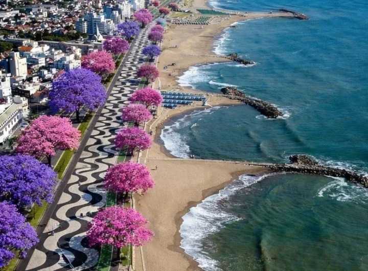 G uON9CWoAArLxS editado