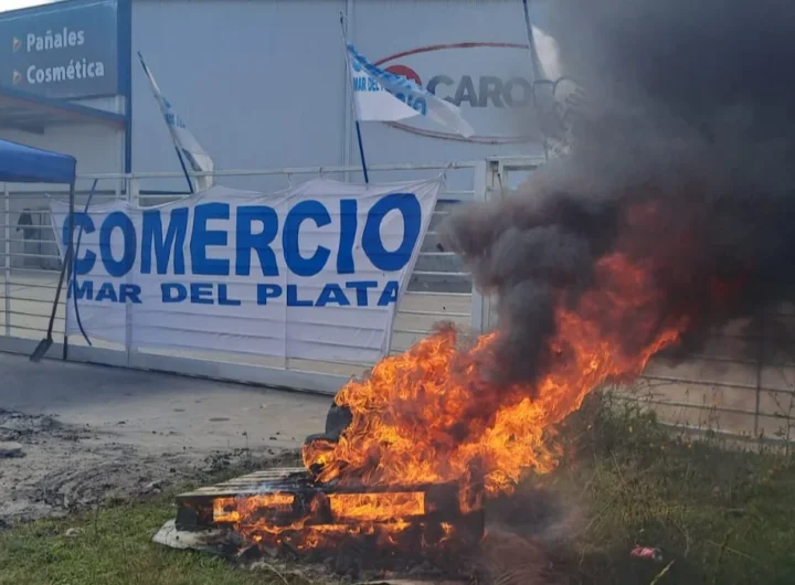 WhatsApp Image 2026 01 12 at 10.39.17 AM editado