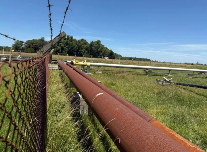 WhatsApp Image 2026 01 19 at 8.26.08 AM editado