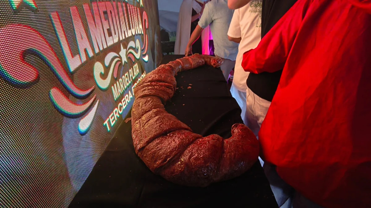 WhatsApp Image 2026 02 08 at 9.28.29 PM 1 editado