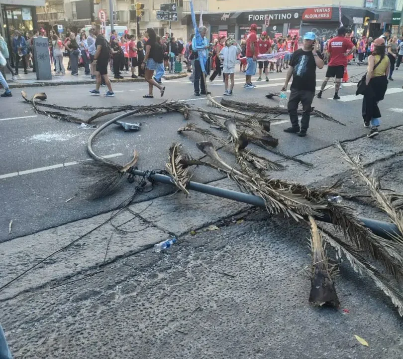 IMG 20260324 WA0056.jpg