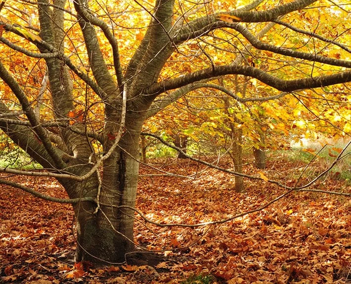 parques unicos 02 editado